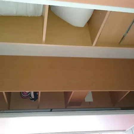 Le Palais Du Tropique Daire