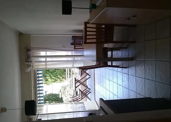 Le Palais Du Tropique *